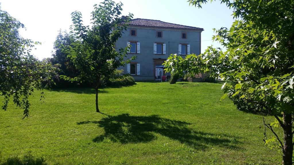 a tree in the grass in front of a building at Maillas D'en Haut in LʼIsle-en-Dodon