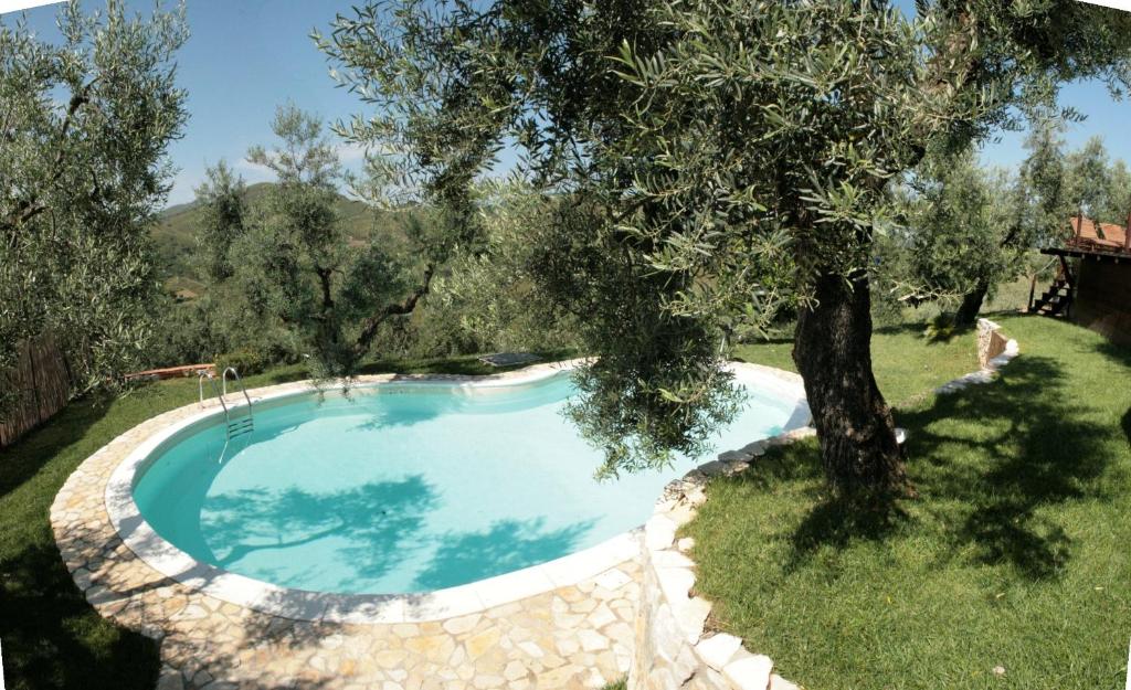 a swimming pool in a yard with a tree at I Giardini Di Margius in Itri