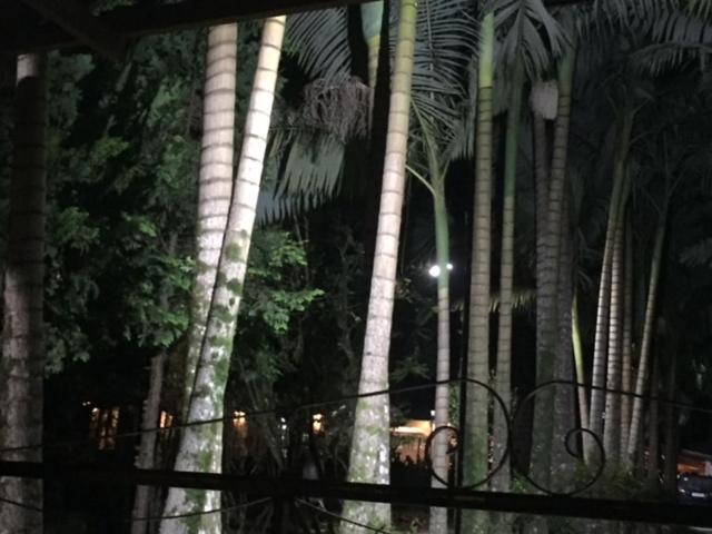  Paraíso Contemporâneo