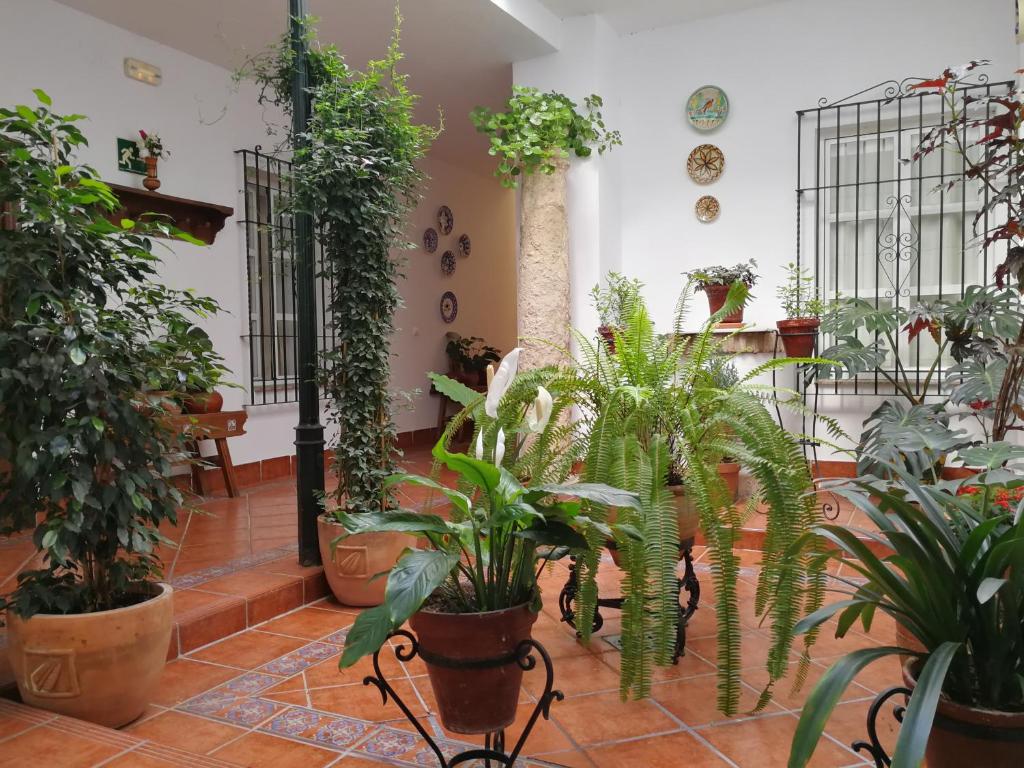 Hotel Maestre - Resim 31