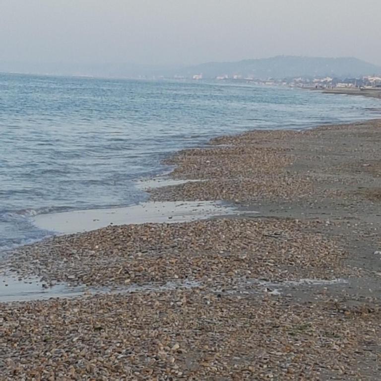 a beach with a rocky shoreline and the ocean at allery in Alba Adriatica