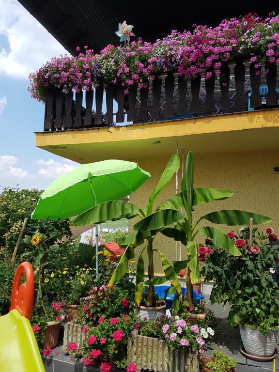 Zahrada ubytování Ferienwohnung Hub