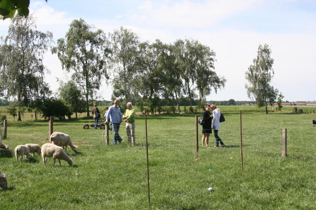 Hosté ubytování B&B Artiriacumhoeve