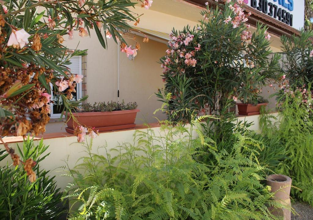 A garden outside Finca Doña Sofia Maria