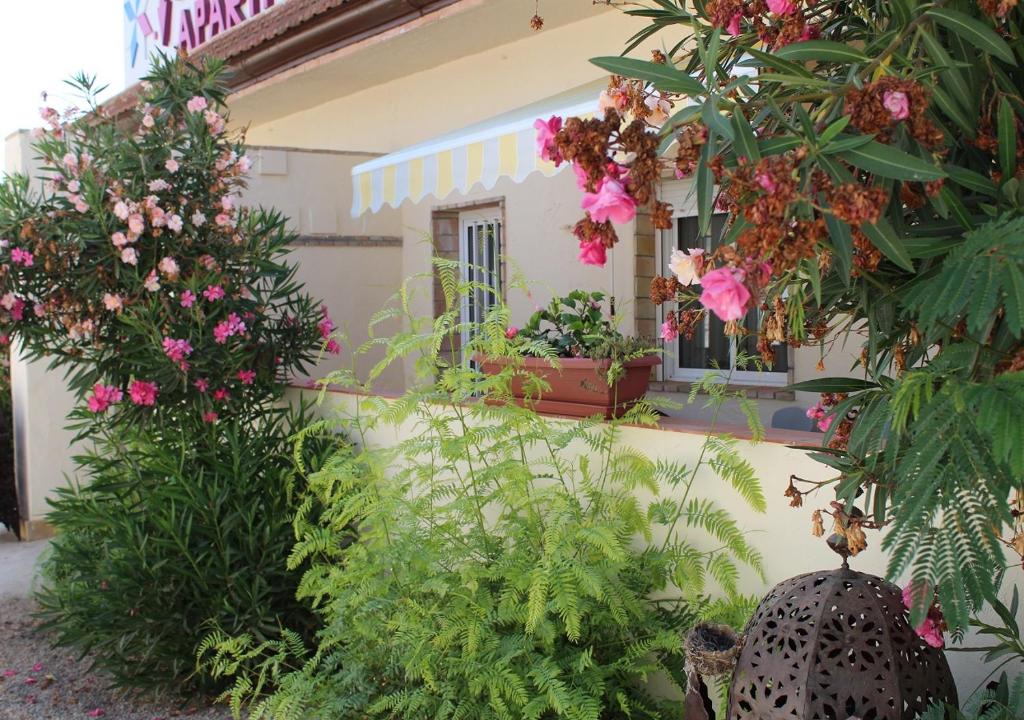 A garden outside Finca Doña Sofia Maria