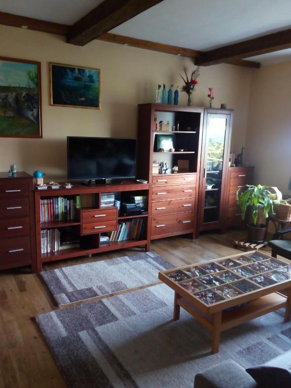 A television and/or entertainment centre at Borostyán Ház
