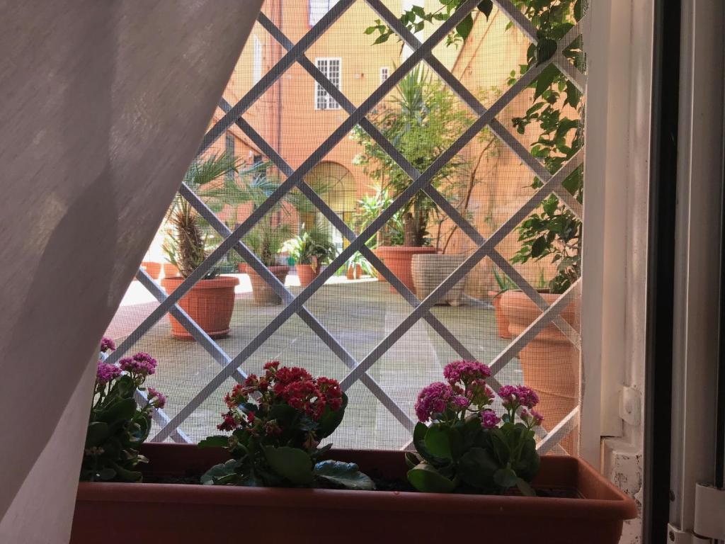 Vonkajšia záhrada v ubytovaní La Casa del Fotografo