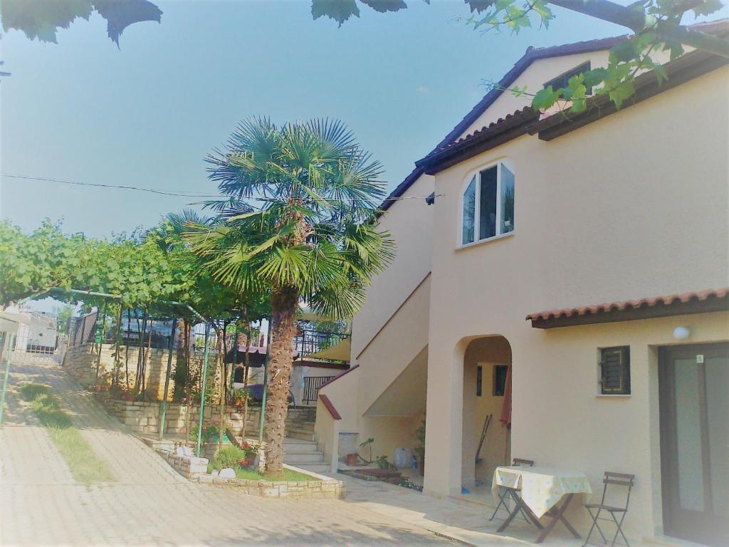 a building with a palm tree next to a street at Apartments Folo in Tar