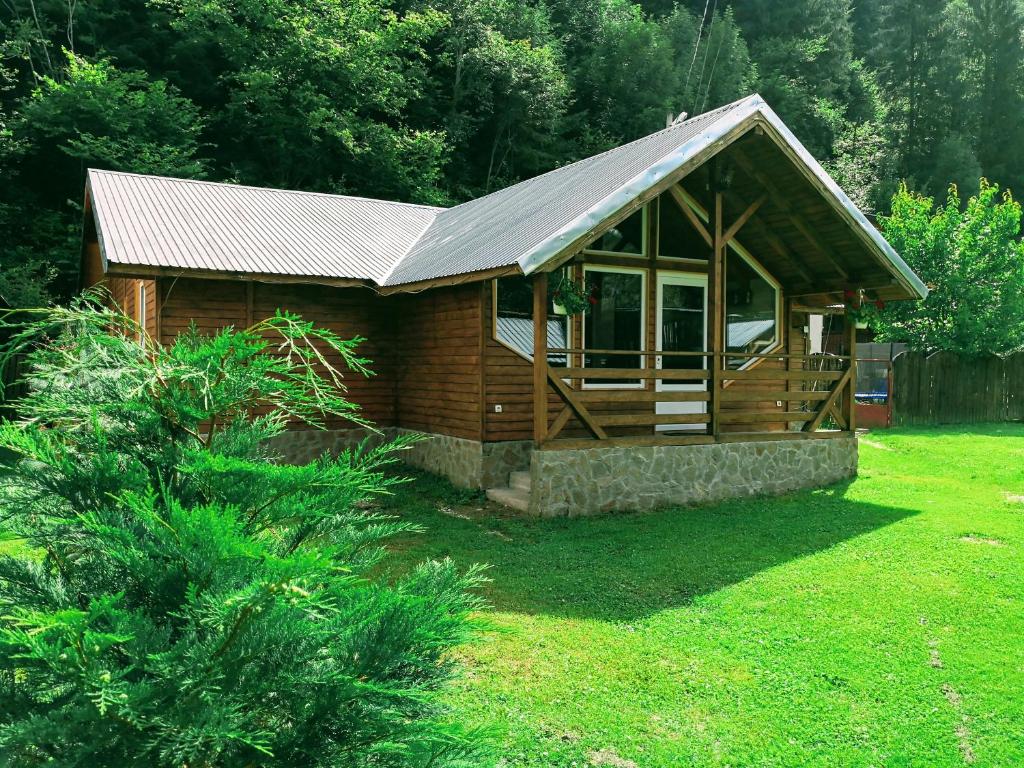 a small log cabin with a metal roof at Casa de Vacanta Aurelia in Voineasa