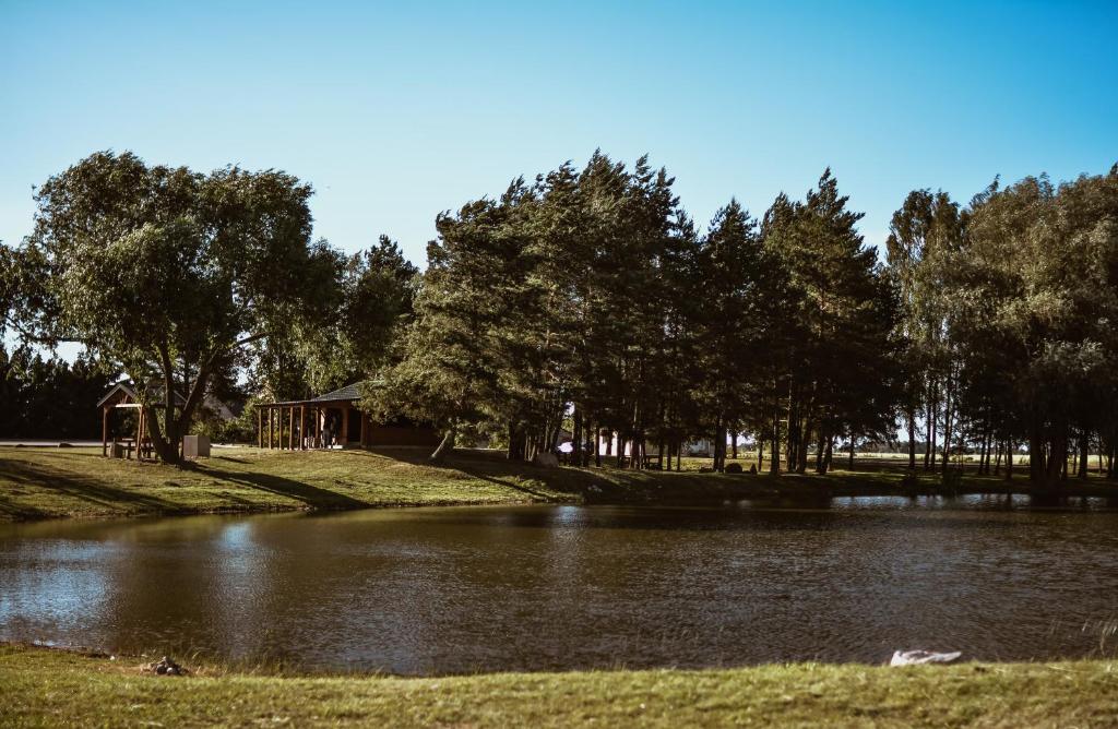 a pond in a park with trees and a building at Sunny Nights Homestead Rustic House in Gataučiai