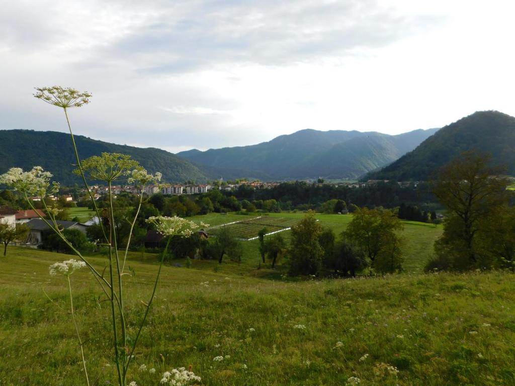 a field of green grass with mountains in the background at Apartment Vista in Tolmin