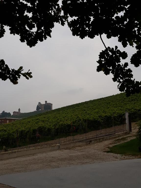 Fotografie z fotogalerie ubytování Vitae di Langa v destinaci Grinzane Cavour