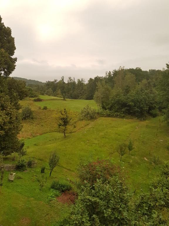 Příroda nedaleko apartmánu