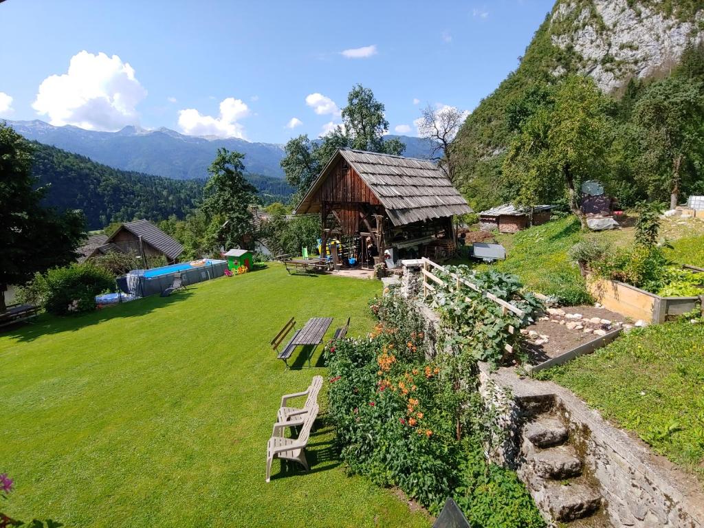 Příroda nedaleko apartmánu