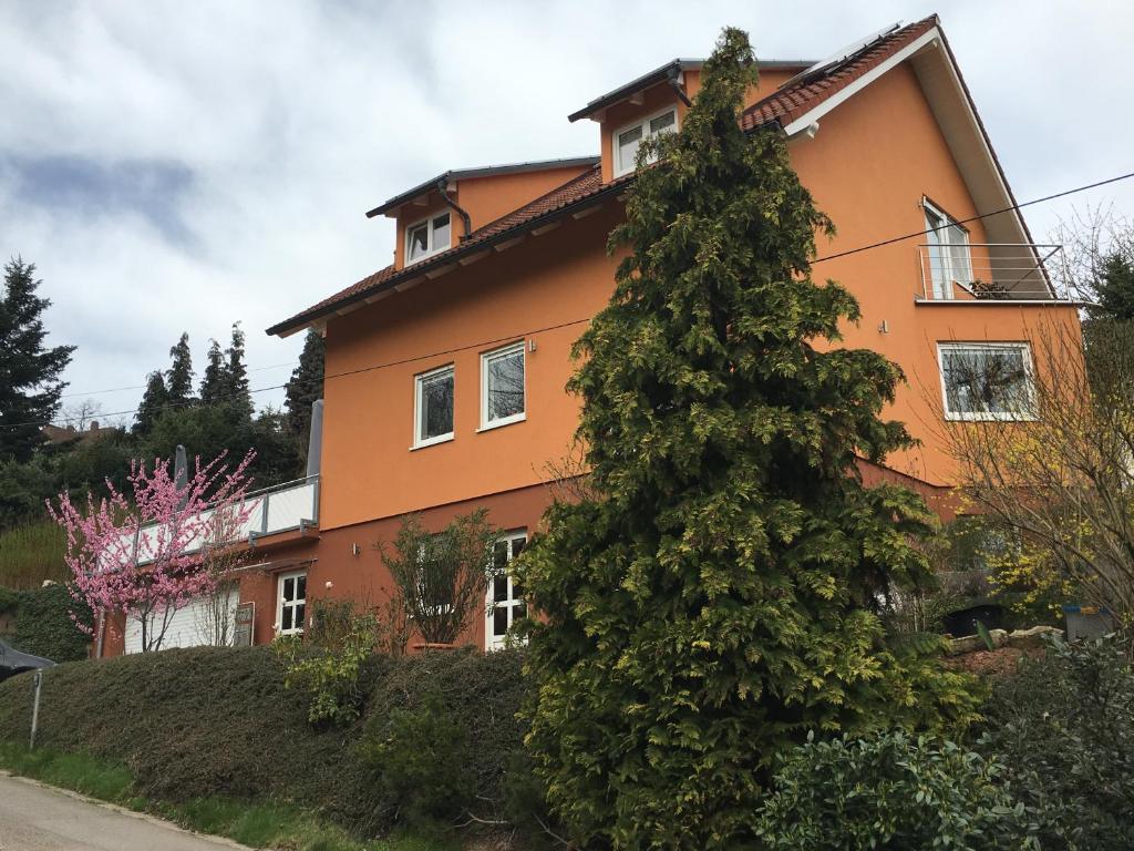 a house with a pine tree in front of it at Appartement Weinrebe in Wilsdruff