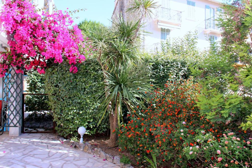 un jardin avec des fleurs roses et des plantes devant un bâtiment dans l'établissement Central avec Jardin, à Cannes