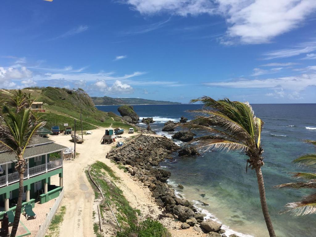 a beach with a palm tree and the ocean at The Atlantis Historic Inn in Saint Joseph