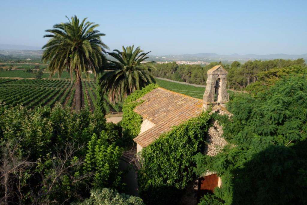 an old church in a vineyard with palm trees at Mas Palou in Pla del Panadés