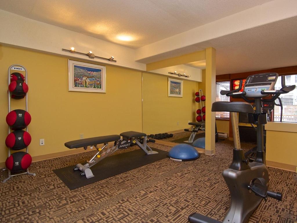 Fitness centrum a/nebo fitness zařízení v ubytování Mountain Side Hotel Whistler by Executive