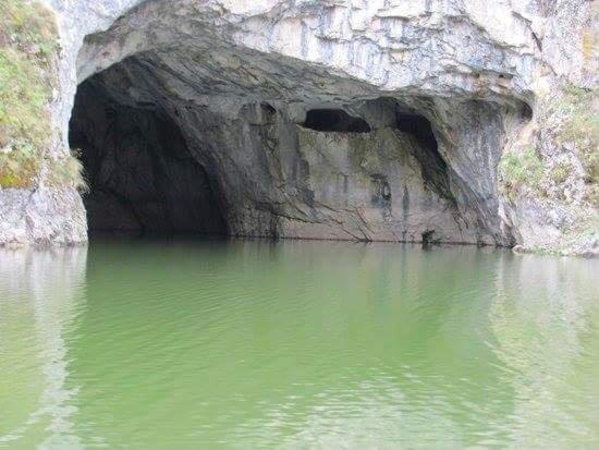 Příroda nedaleko farmy