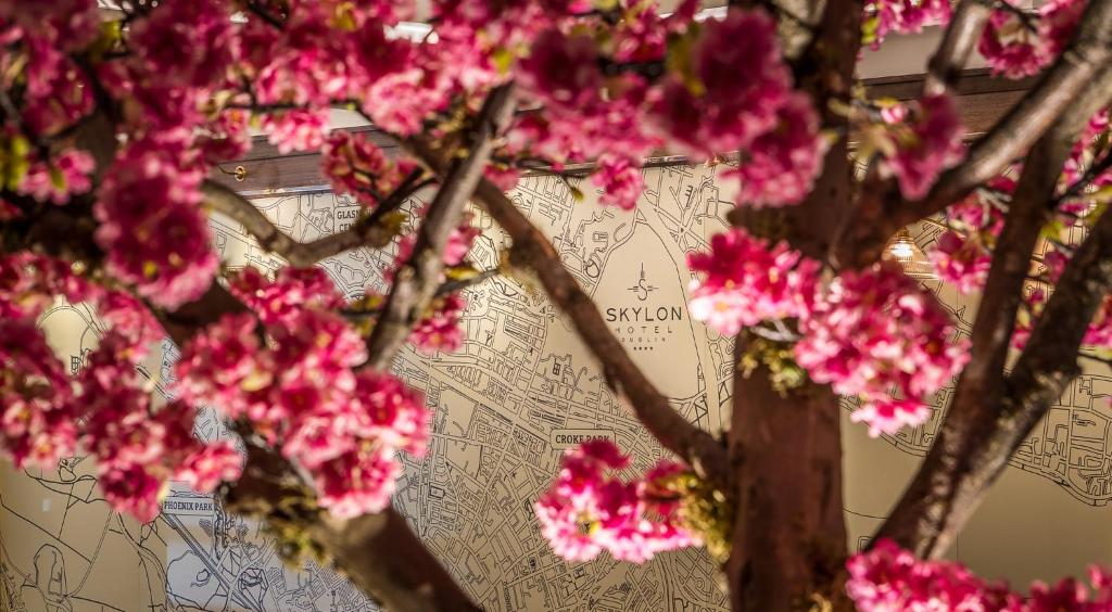 Dublin Skylon Hotel - Resim 28