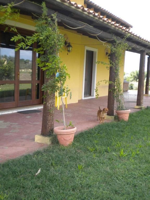 A garden outside Affittacamere Luti