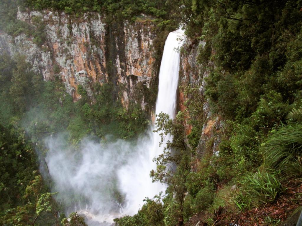 a waterfall on the side of a mountain at Springbrook Lyrebird Retreat in Springbrook