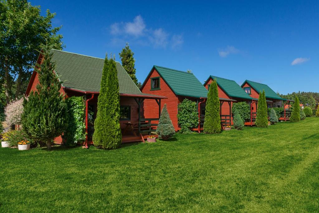 una fila de casas con techos verdes en un césped en Leśny Zakątek, en Mieroszyno