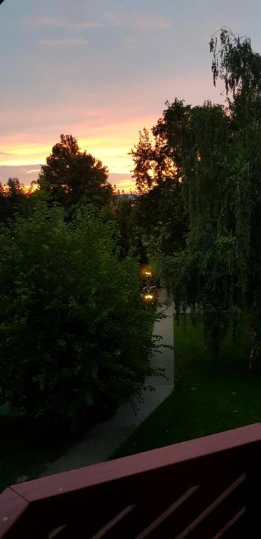Przyroda w pobliżu tego hotelu