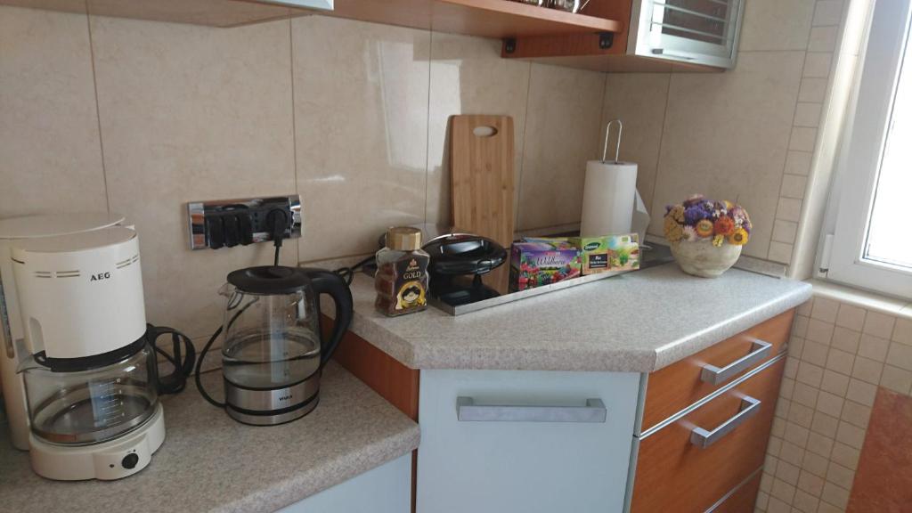 Kuchyň nebo kuchyňský kout v ubytování eco Apartment