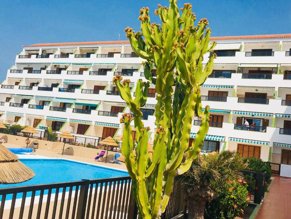 Atlantic View - quiet, peaceful and windless apt with fantastic ocean view - Appartamento