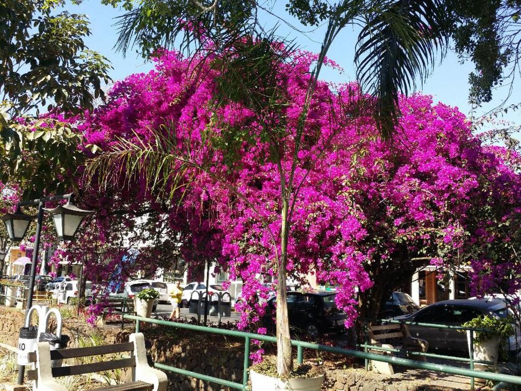  Pousada Suítes Águas de São Pedro