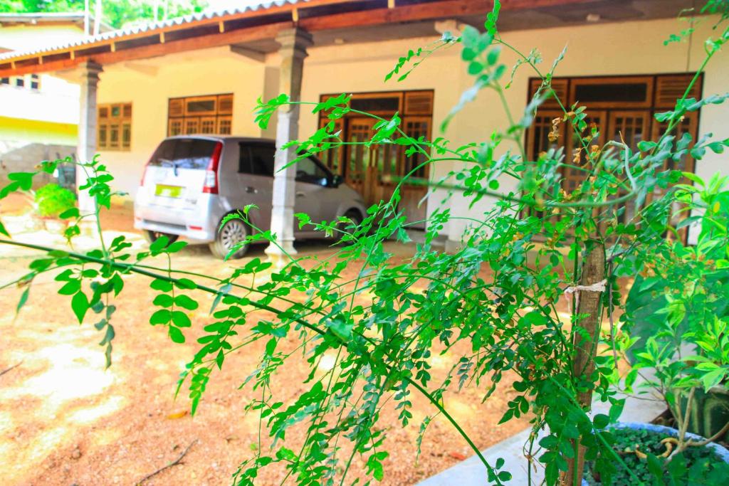 Zahrada ubytování Miracle Home Stay