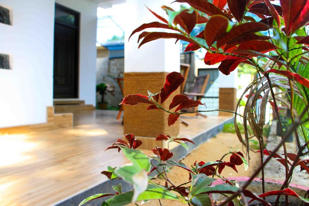 Zahrada ubytování Miracle Home Stay