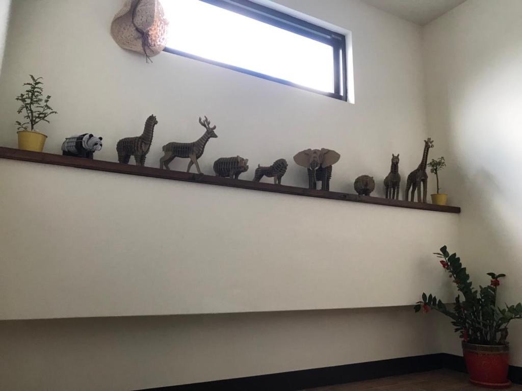 Fotografie z fotogalerie ubytování Seven beauties Homestay v destinaci Hengchun Old Town