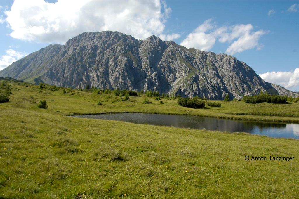 Příroda nedaleko penzionu