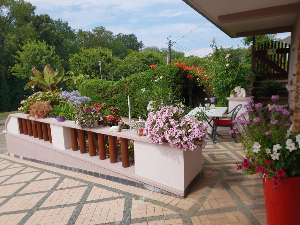 a display of flowers on a patio at Au repos des remparts in Wissembourg