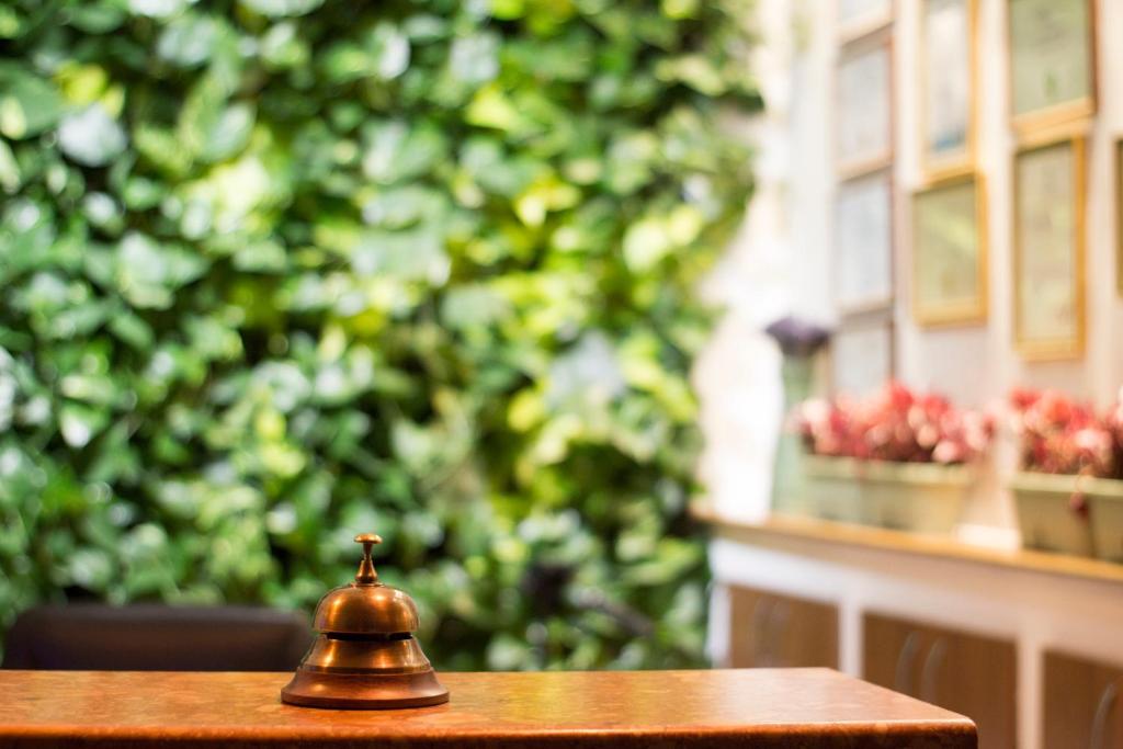 Zahrada ubytování Hotel Dragului