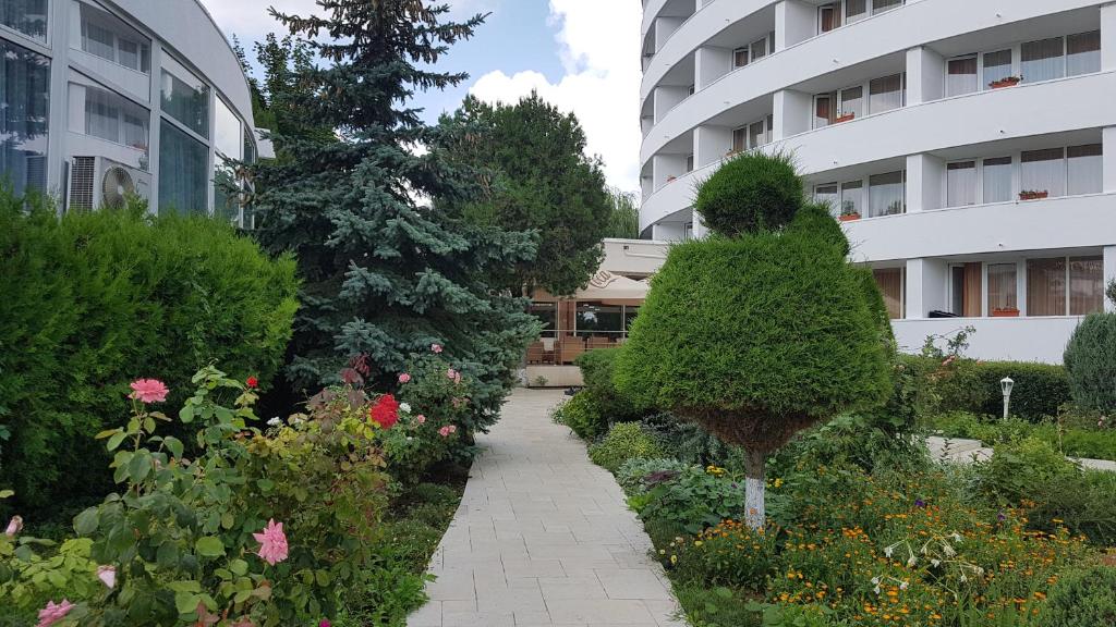 Zahrada ubytování Hotel Scoica