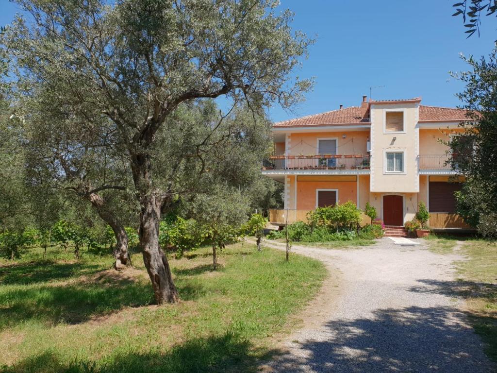 L'Oasi