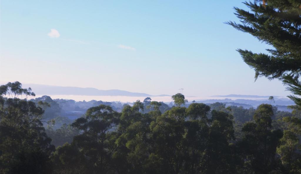 a view of a forest filled with trees at Beautiful view house in Monbulk
