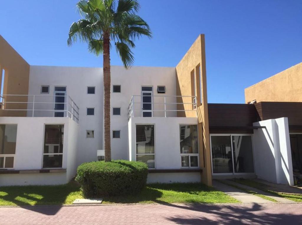 a palm tree in front of a white building at Conjunto Ballena Townhouses in Puerto Peñasco