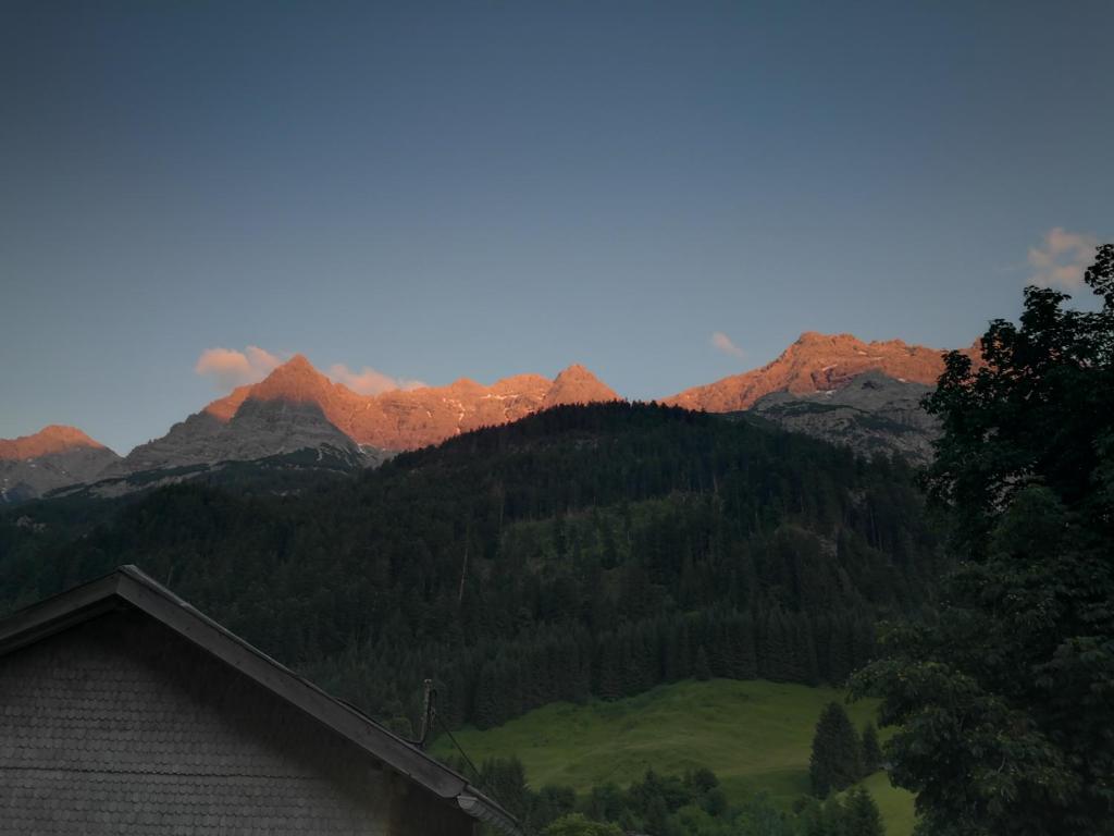 Příroda nedaleko hotelu