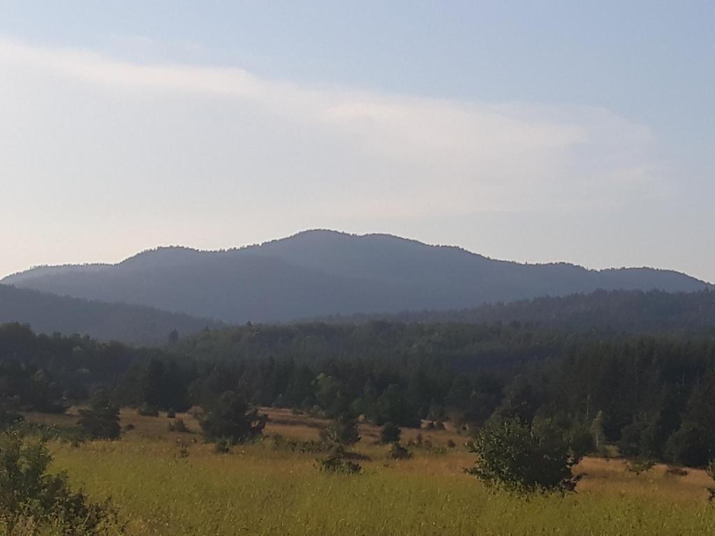 Príroda v okolí penziónu