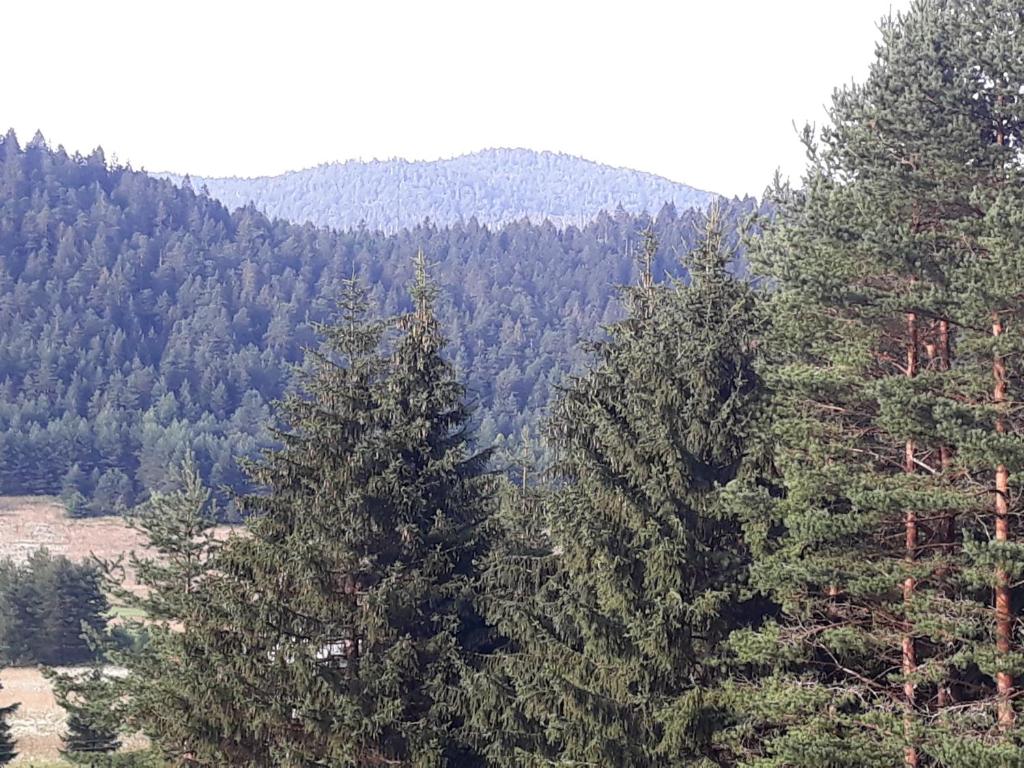 Príroda v okolí penziónu