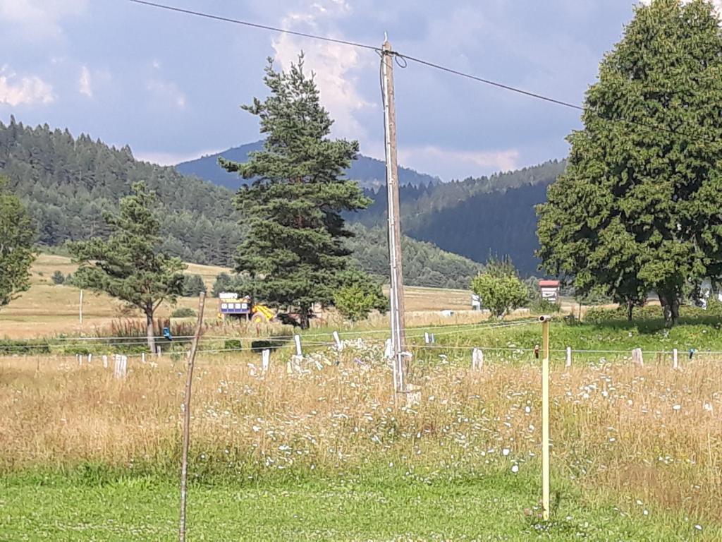 Príroda v okolí penziónu