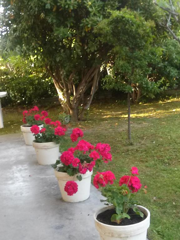 Ogród w obiekcie Giardino delle rose