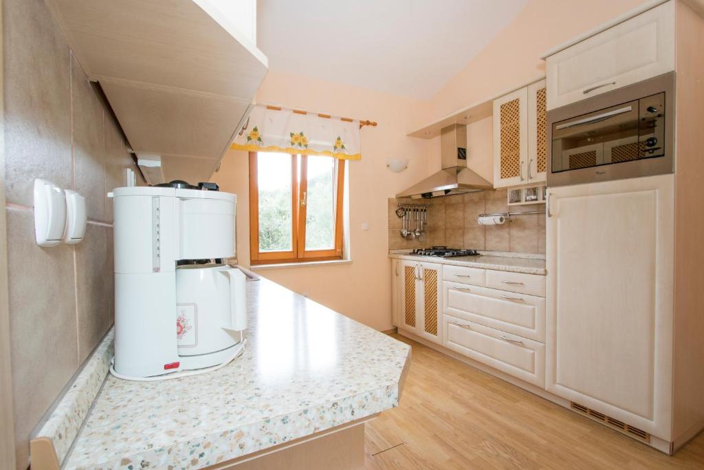 Kuchyň nebo kuchyňský kout v ubytování Villa Maximilian