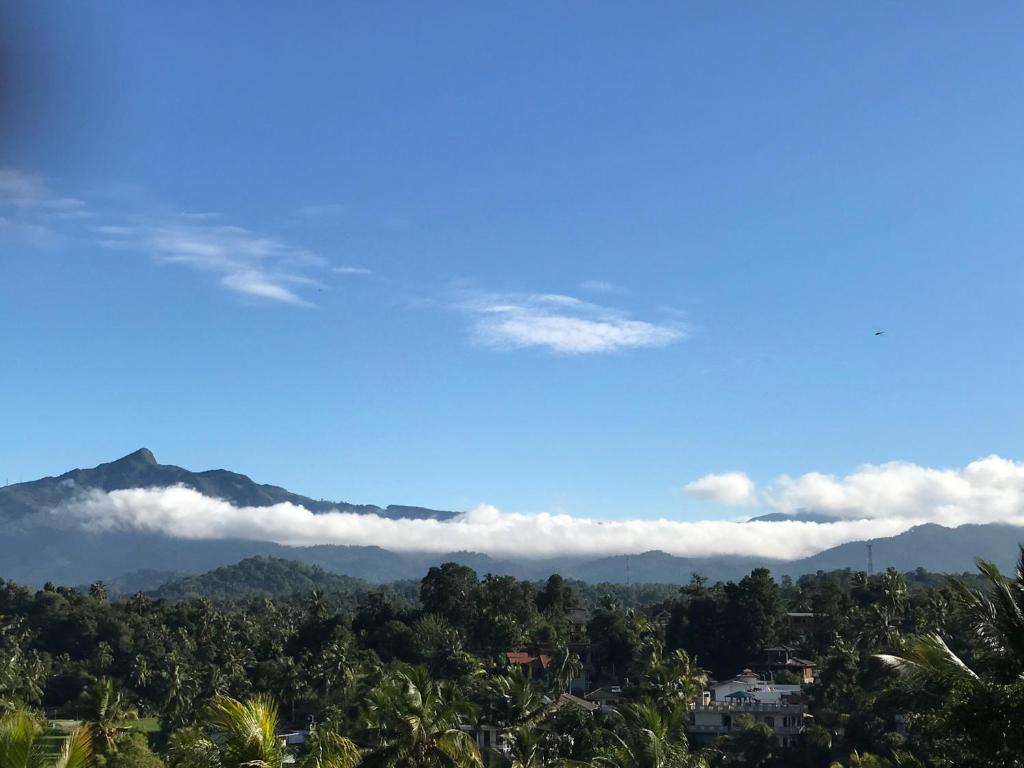 Blue Pillars Kandy - 17
