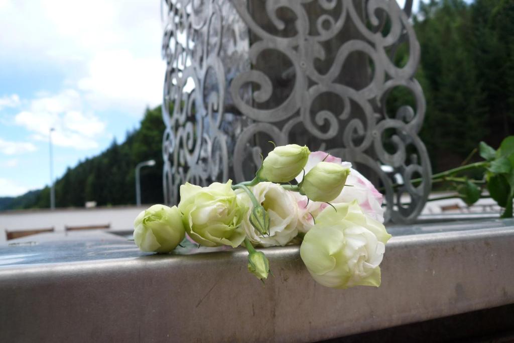 Fotografie z fotogalerie ubytování Hotel Plankenhof B&B v destinaci Pill